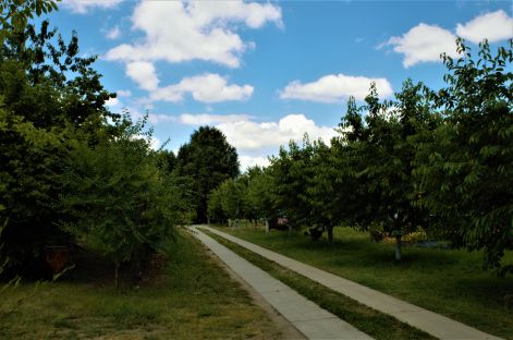 dsc_0743.jpg
