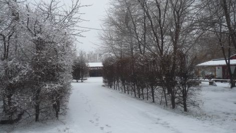 p1030050.jpg