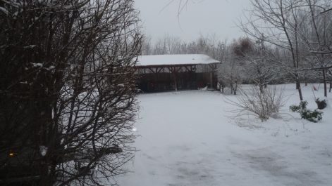 p1030053.jpg