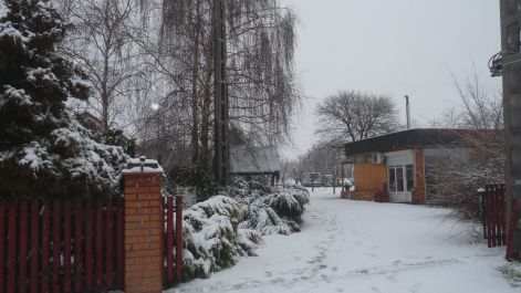 p1030059.jpg